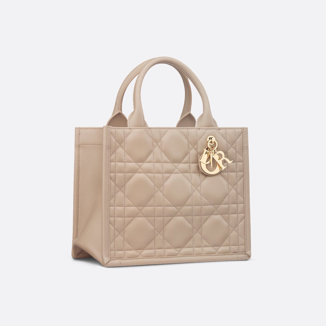 Sac Dior Book Tote Small