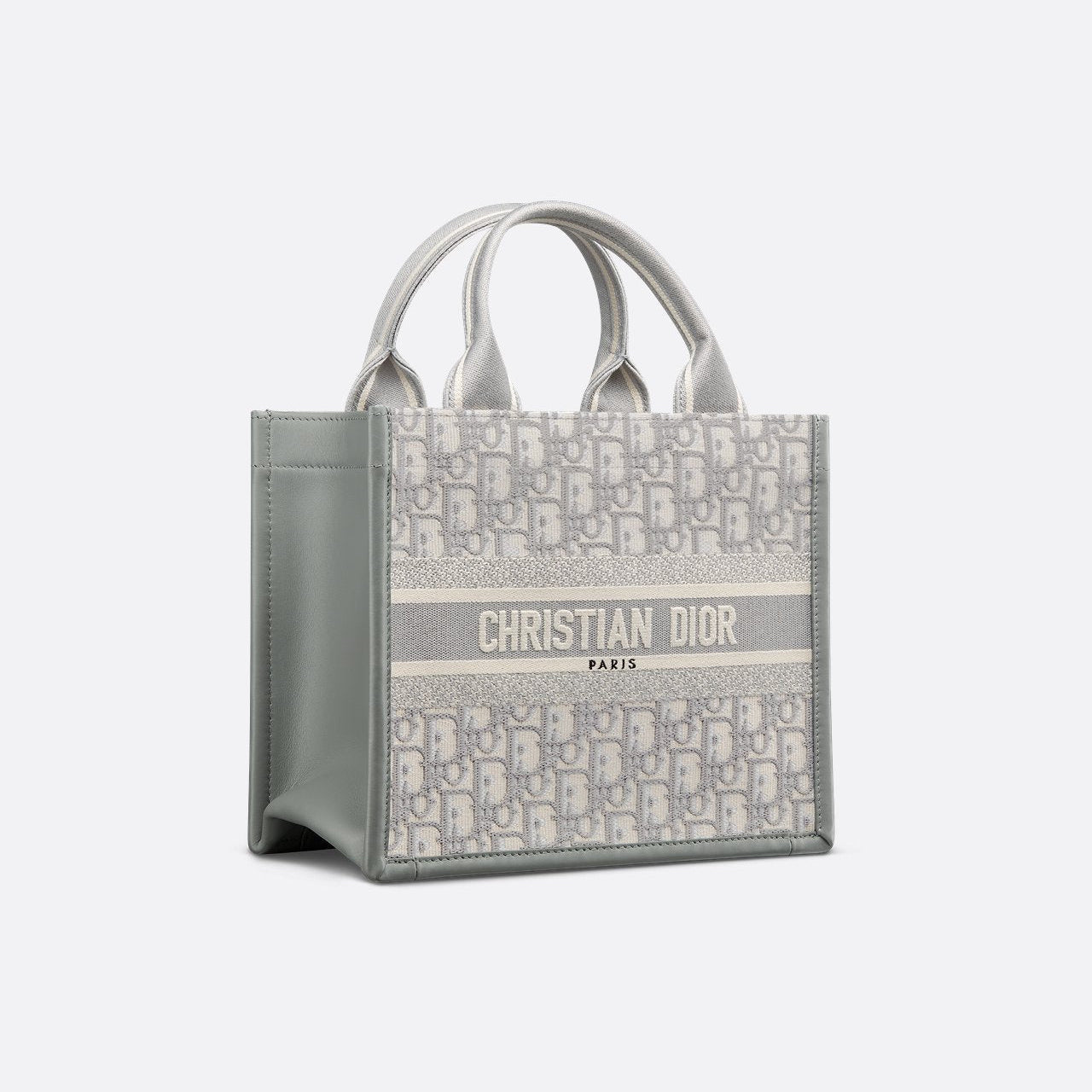 Sac Dior Book Tote Small