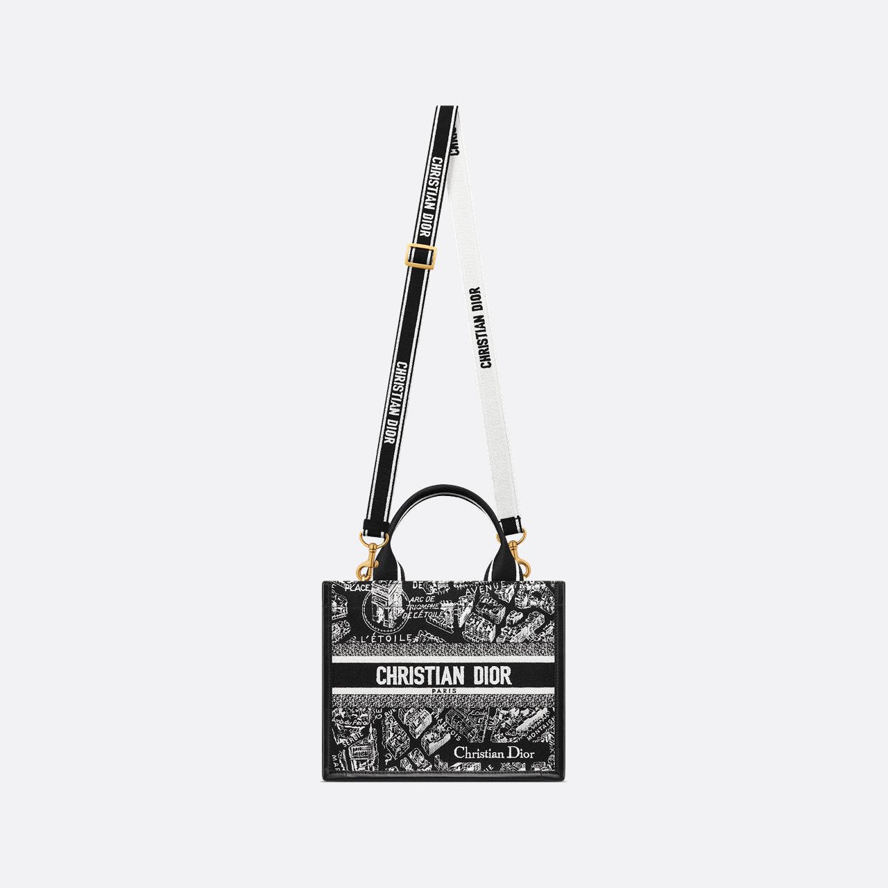 Sac Dior Book Tote Small