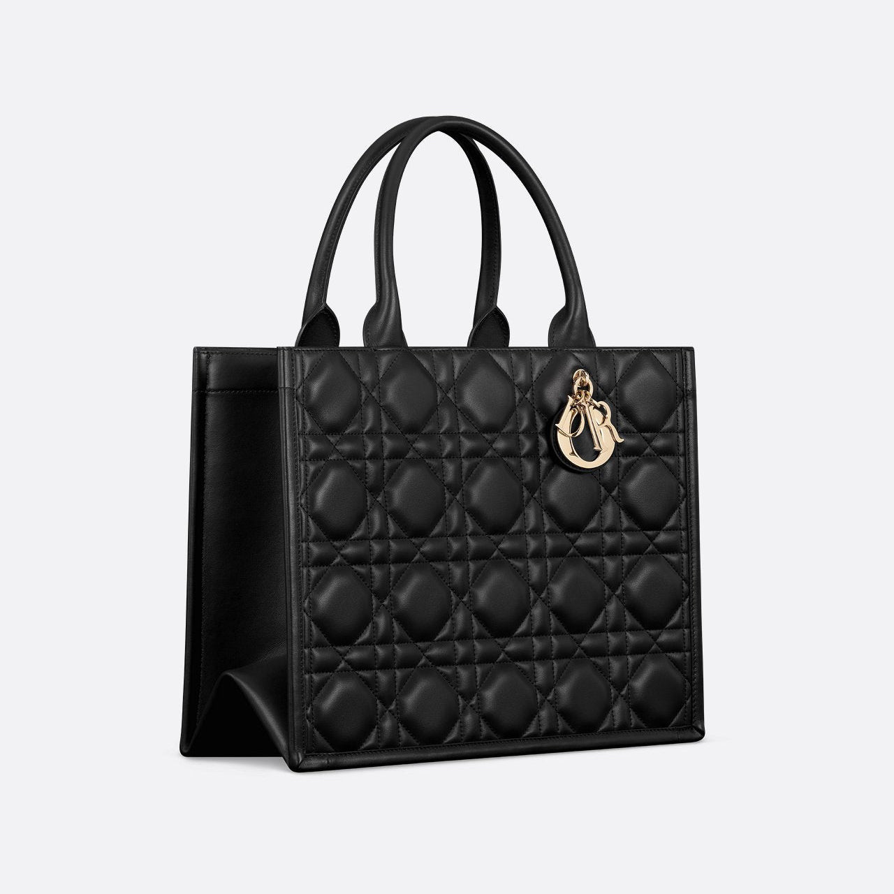 Sac Dior Book Tote Medium