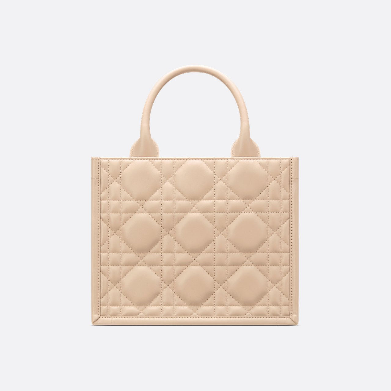 Sac Dior Book Tote Small