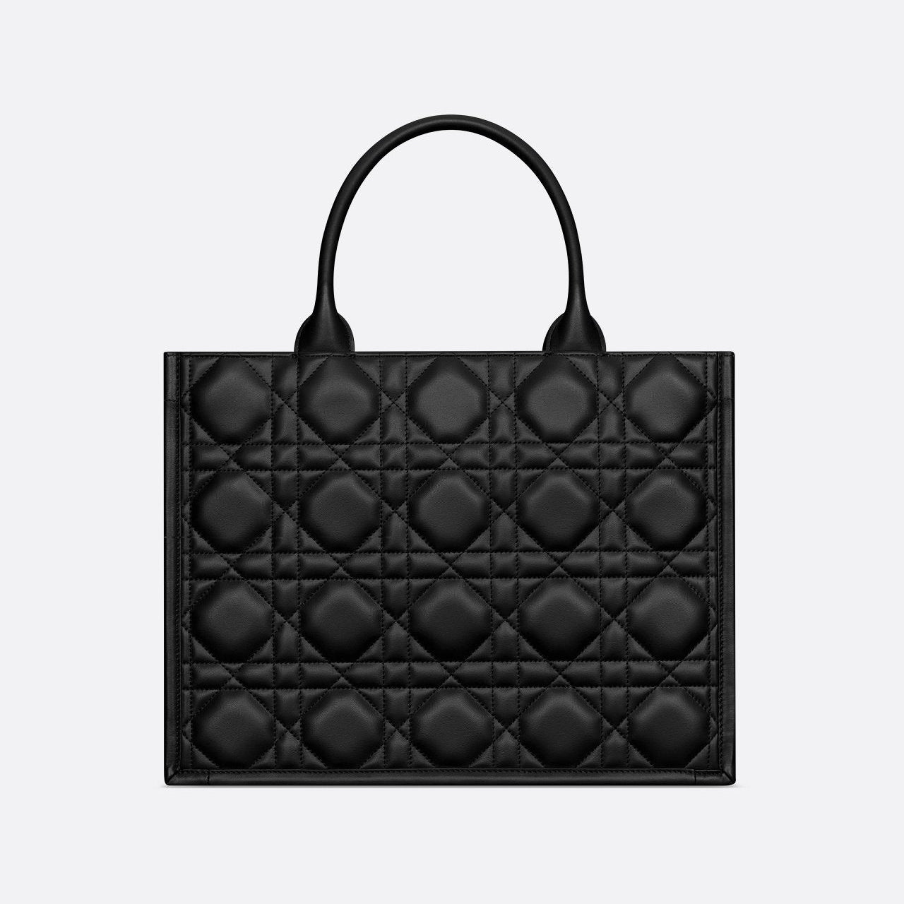 Sac Dior Book Tote Medium