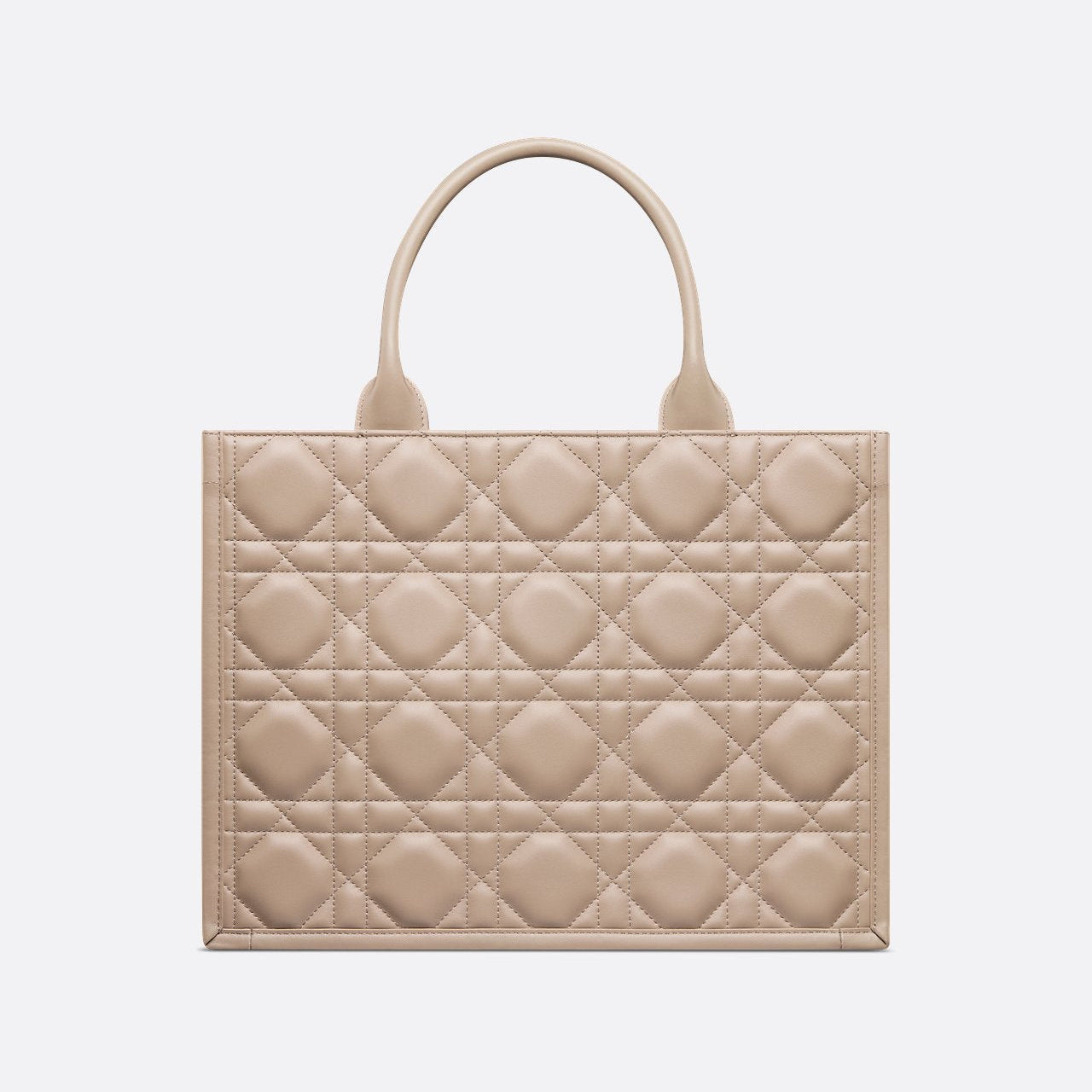 Sac Dior Book Tote Medium