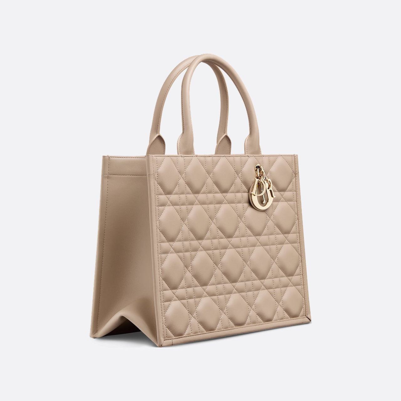 Sac Dior Book Tote Medium