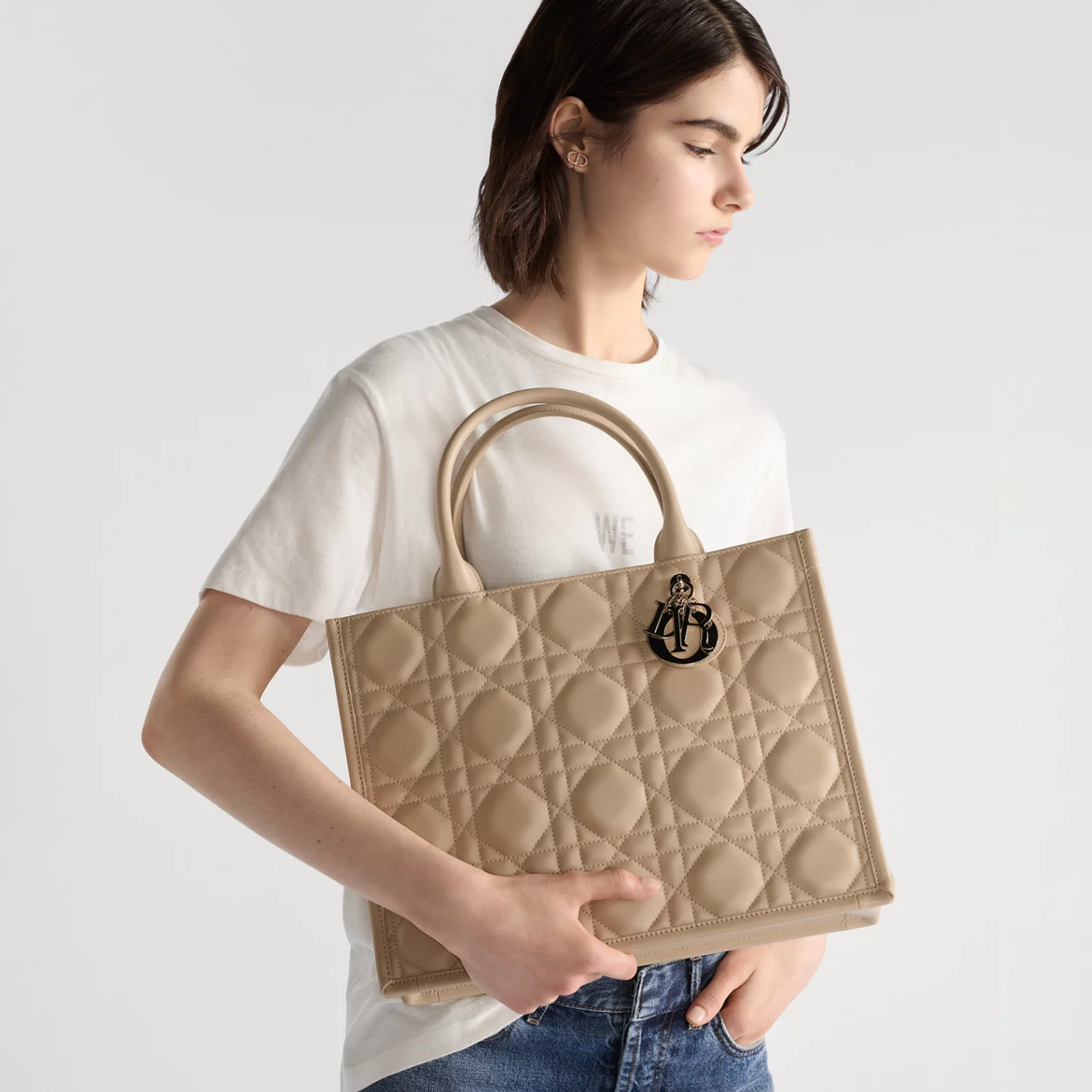 Sac Dior Book Tote Medium