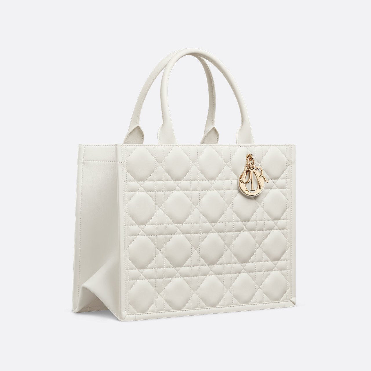 Sac Dior Book Tote Medium