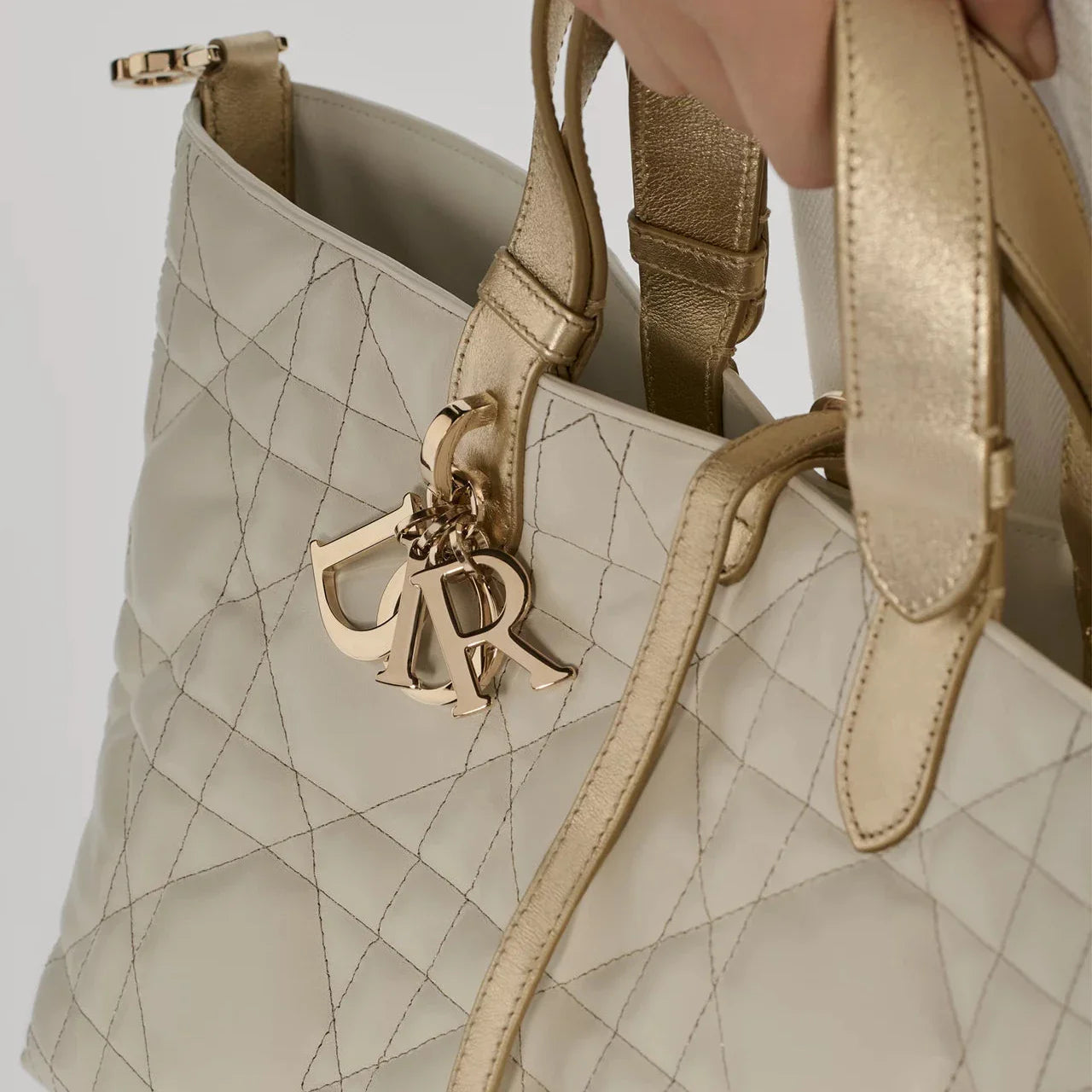 Sac Dior Toujours Medium