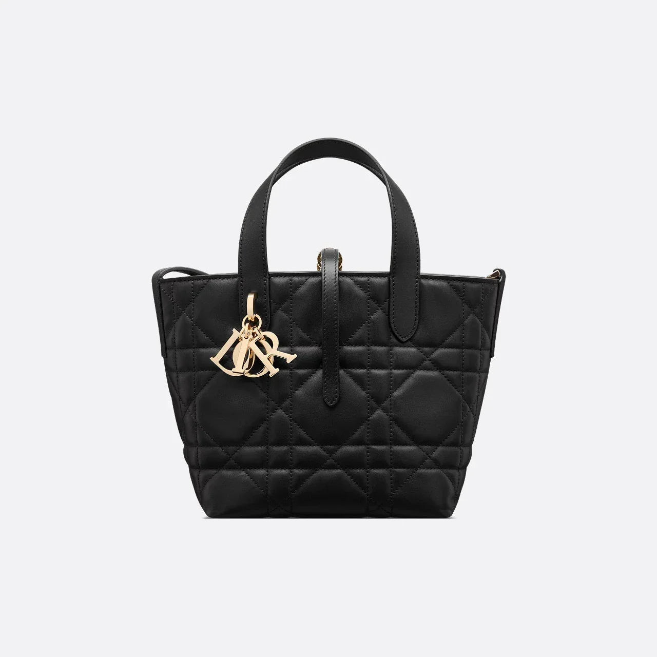 Sac Cabas Vertical Dior Toujours Small